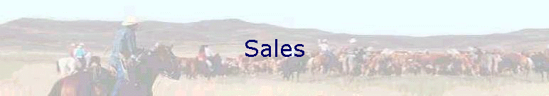 Sales