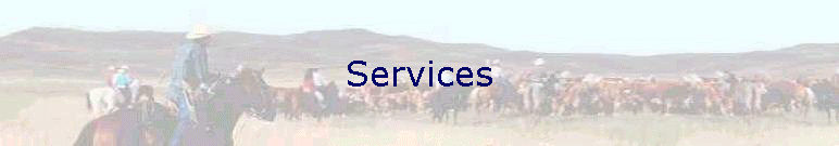 Services